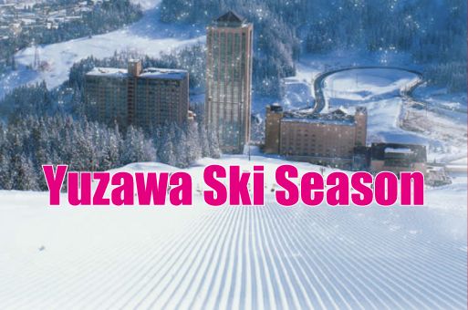 スキープラン素泊まり